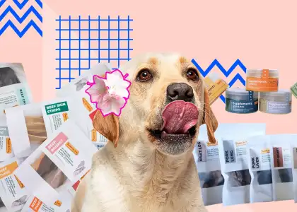 Bone Appetit All Natural Dehydrated Treats for Your Picky Pups