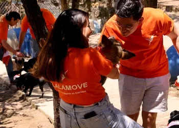 Lalamove and Home for Homeless Dog Present Make a Paw fect Move Pet Adoption Day at WKCD header