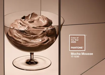 20241206 Pantone