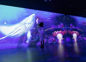 Untitled design 2025 02 12 T171724 305