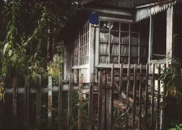 Abandoned Orchard Bungalow Now Worth Millions