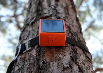 ForestGuard Sensor System Detects Wildfires and Drives Climate Change
