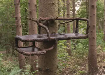 German Designer Unveils Innovative ‘Remade Wood’ Products