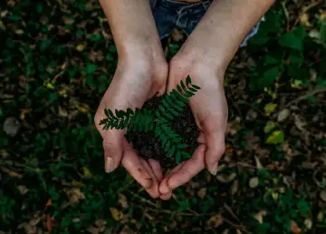 Understanding Our Responsibility of Raising Environmental Awareness