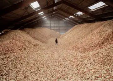 CornWall Introduces Sustainable Corn Cob Tiling for Eco-Friendly Interiors