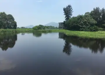 Why Are the Hong Kong Wetlands Under Threat?