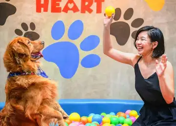 Pet-Friendly Hangout Spots in Manila for Your Next Play Date