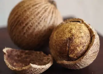 This Indigenous Malaysian Fruit Tastes Like Garlic and Truffle in One