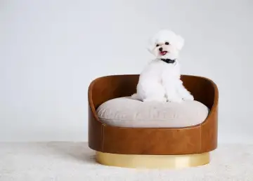 The Liebling: Ultimate Luxury and Comfort for Your Pooch