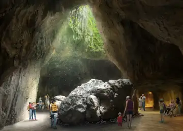 Embark On Your Next Adventure at Rainforest Wild Asia Singapore