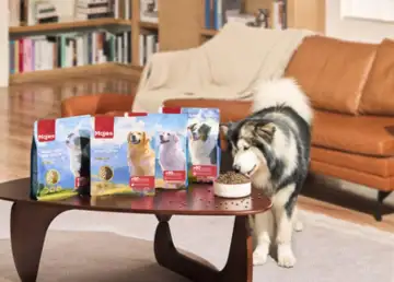 Majes: A New Chapter in Pet Nutrition for Tropical Climates