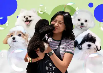 Experience Modern Pet Care at Bubble-It-Yourself with Self-Bath Kiosks