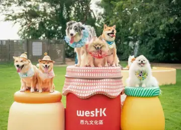 West Kowloon's Doggo Fest 2025 Unleashes Fun for Dogs and Families in HK