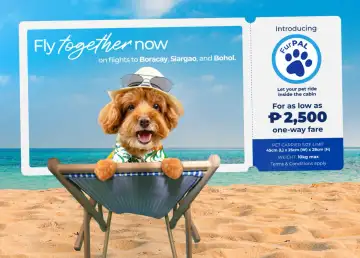 PAL’s New FurPal Program Allows Fur Parents to Fly Together with their Pets