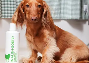 Treat Your Puppers to a Less Ruff, More Fluff Hair Care by MALIN+GOETZ