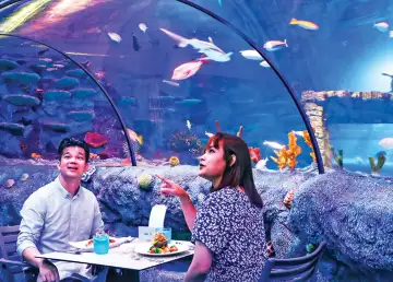 LEGOLAND Malaysia Resort Brings Back its Underwater Dining Experience