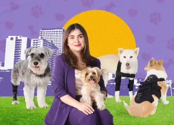 Dogly Orthopedics by Manly: Providing Care, Love, and Support for Your Dogs