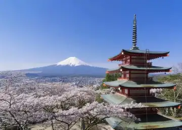 Octopus App Turns Your Japan Vacation into a Smart Experience with PayPay