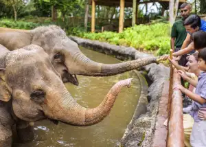 An Explorer’s Guide to Singapore’s Mandai Wildlife Reserve