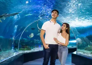 Romantic Experience-Based Dates for Couples in Manila