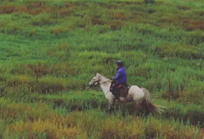 Horesback Riding in Malaysia Titiwangsa Lake