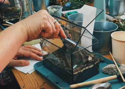 Person making a terrarium in a glass container
