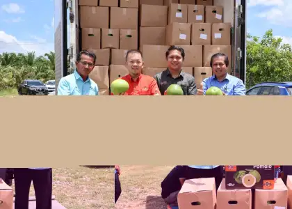 Malaysian Government to Distribute Surplus Food to Curb Food Wastage