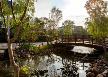 Website Bamboo Hills KL