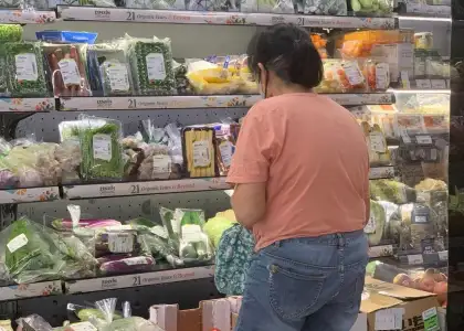 Instagram Zenxin Organic Food