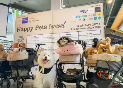 Happy Pets Carnival
