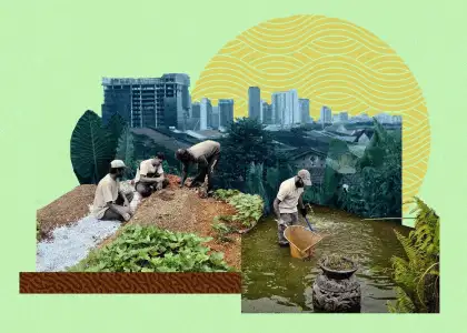 Urban Hijau Sustainable Farm