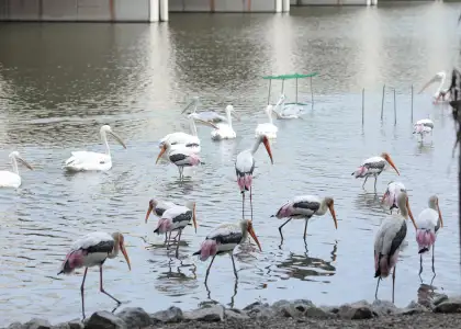 Things to do in Putrajaya