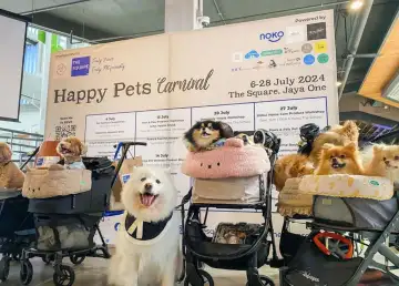 The Square Hosts the First-Ever Happy Pets Carnival throughout the Month