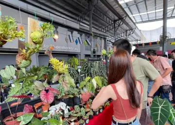 City Gardening KL Ushers CNY With Plant Markets Across Malaysia