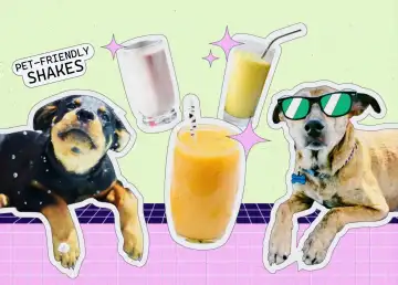 Pet-Friendly Shakes You Can DIY to Keep Your Furbabies Cool this Summer