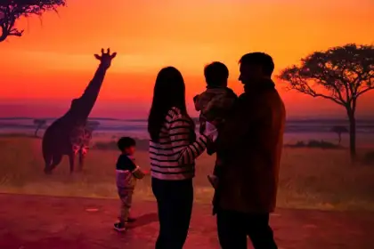 'WILD' Nature Adventure Show at Illuminarium Wynn Palace