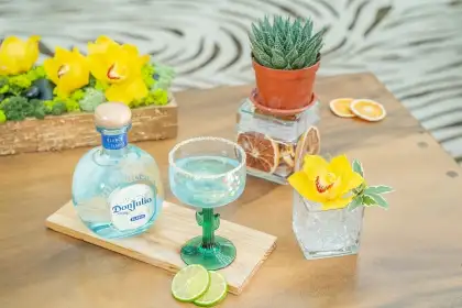 Futuristic Belle Margarita, Addiebelle Arroco, MGM Casino
