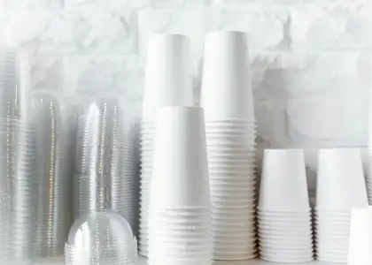 Government to Ban Import of Plastic Cups and Plates and Styrofoam Plates