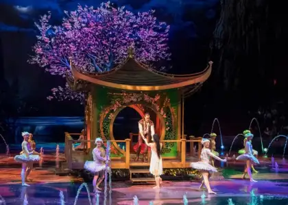 Everything You Need to Know About Macaus The House of Dancing Water