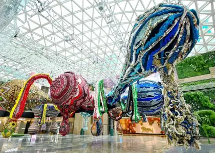 Embark on a Cultural Tourism Adventure with MG Ms Valkyrie Miss Dior