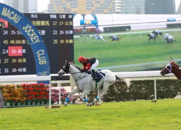 Macau Jockey Club to Halt Horse Racing Operations in April