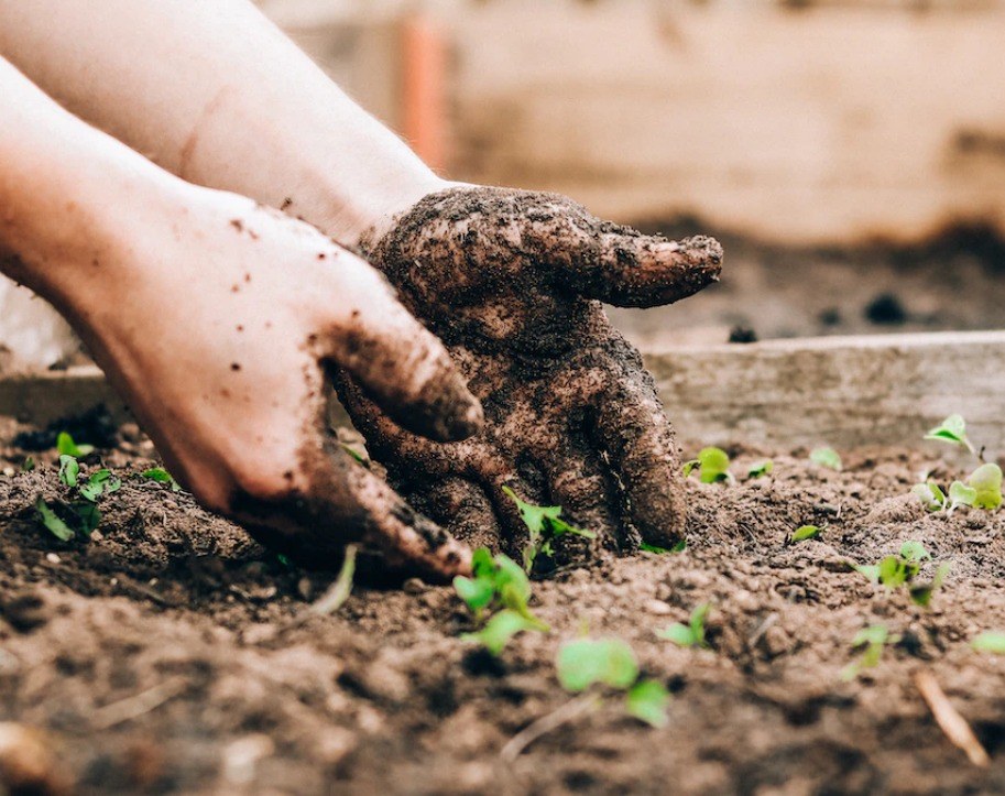 Gardening