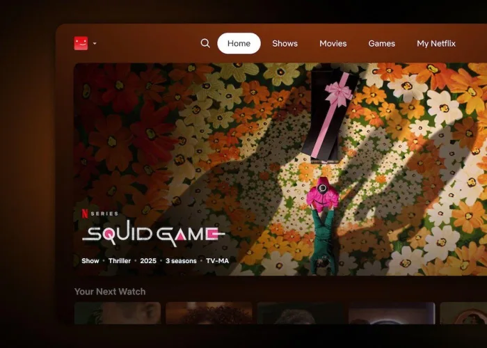 2025 08 18 Netflix Interface