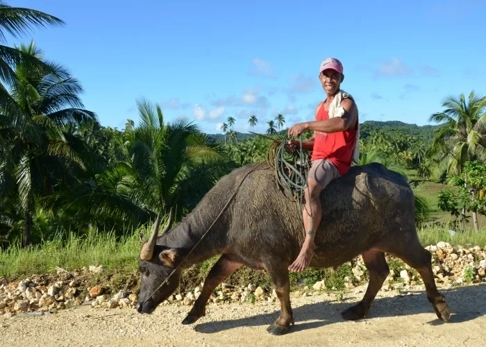 Fair Prices Rescue Buys Social Enterprises Helping Filipino Farmers During the Pandemic