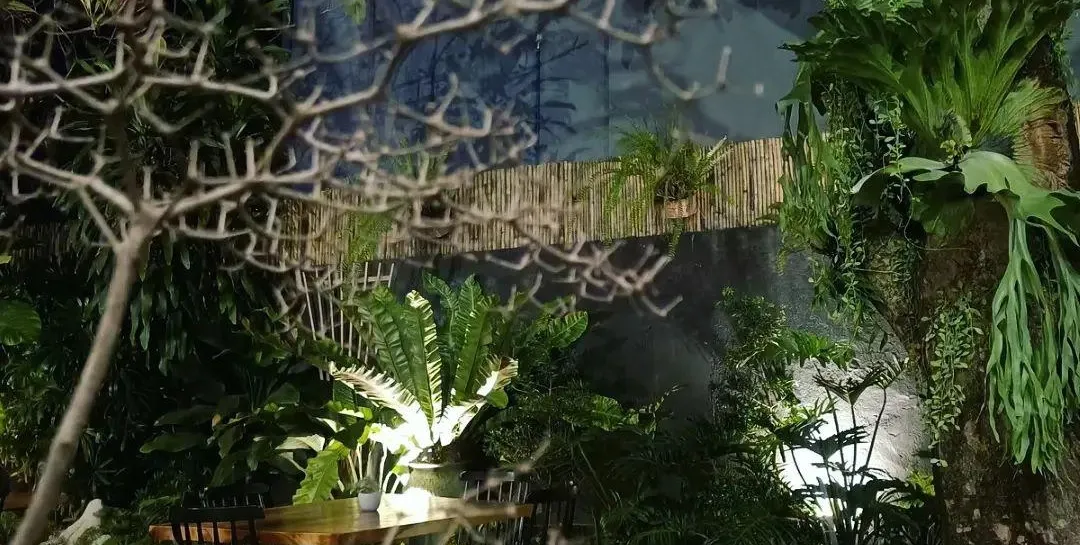 Talisay Garden Cafe2