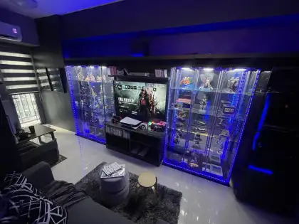 Gamer's Condo living area game display cabinet