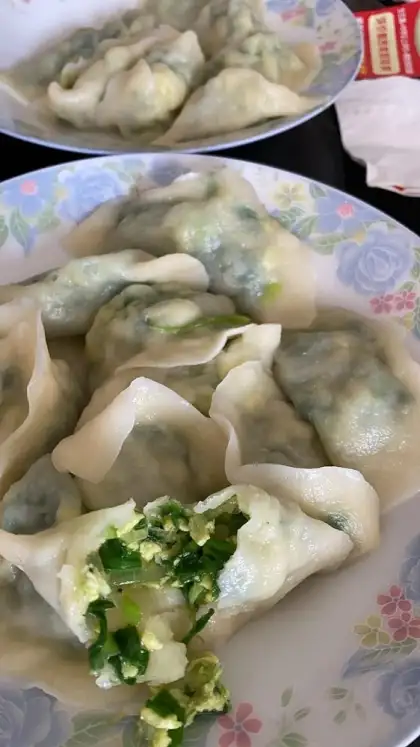 Dong Bei Dumpling
