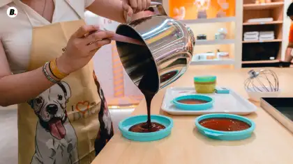 idim diy bakery oven