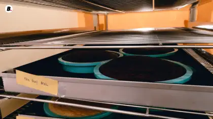 idim diy bakery cake cool down