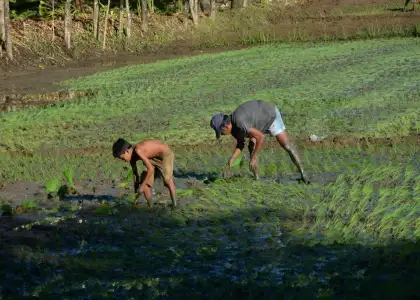 Farmers El Niño La Niña Philippines